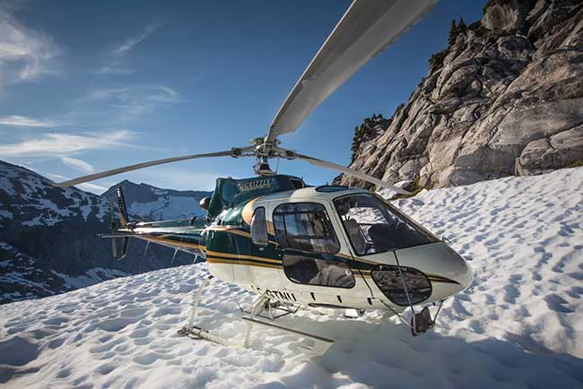 Grizzly Helicopters